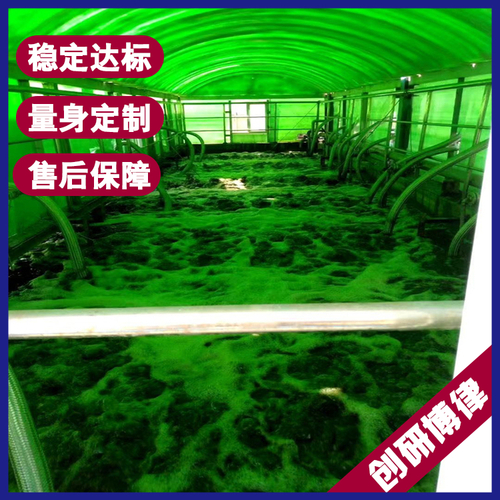 無堵塞曝氣生物濾池